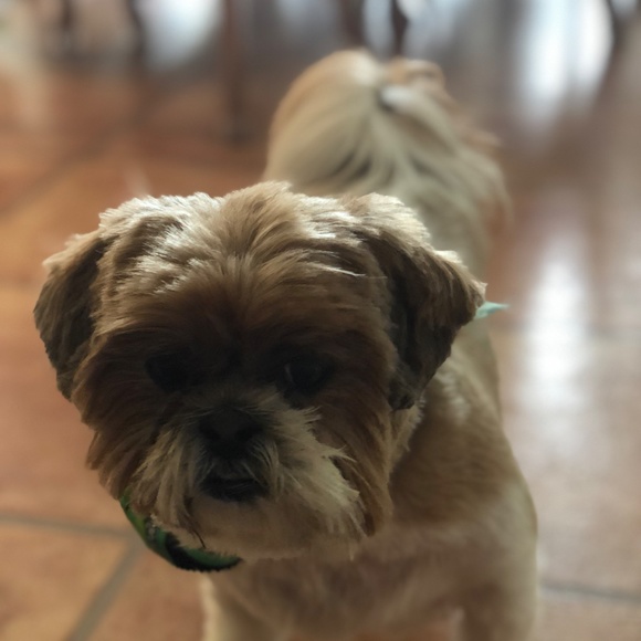 DressYourSelf4Less - Picture 2 of 2